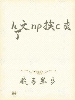 h文np挨c爽了