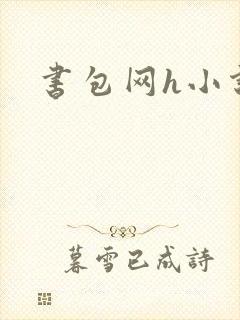 书包网h小说