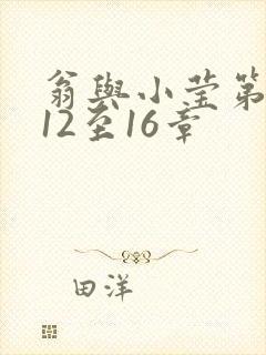 翁与小莹第十部12至16章