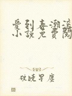 爱到春潮滚滚来小说免费阅读