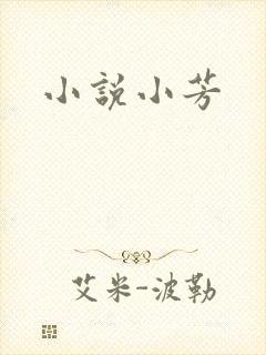 小说小芳