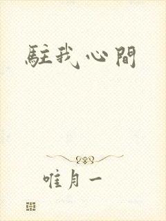 驻我心间