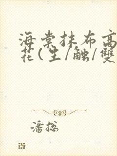 海棠抹布高岭之花(生/触/双)