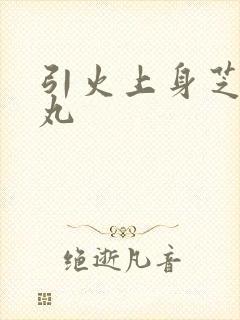 引火上身芝麻糖丸