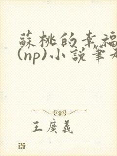 苏桃的幸福生活(np)小说笔趣阁沐沐