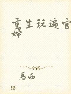 重生玩遍官场贵妇