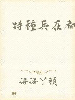 特种兵在都市