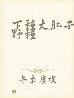 下种大肚子怀孕野种