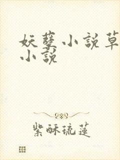 妖孽小说草莓酱小说