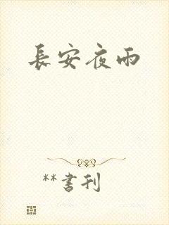长安夜雨