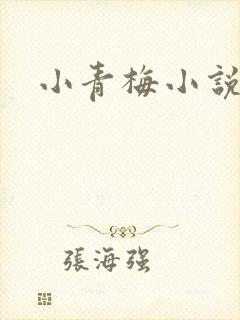 小青梅小说