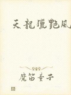 天龙猎艳风流