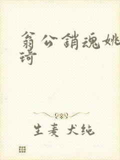 翁公销魂姚瑶琦琦