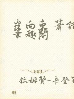 崔向东 萧错 笔趣阁