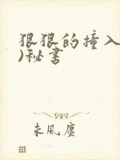 狠狠的撞入(h)秘书