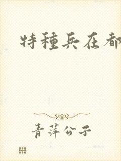 特种兵在都市封面