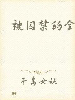 被囚禁的金丝雀