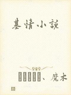 基情小说