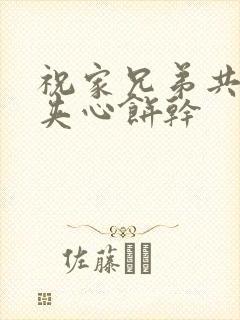 祝家兄弟共享后夹心饼干