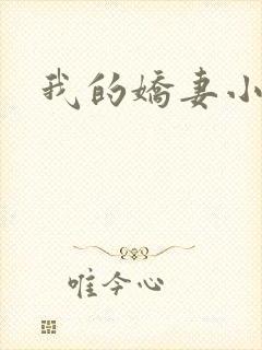 我的娇妻小说