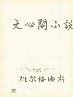 文心阁小说封面