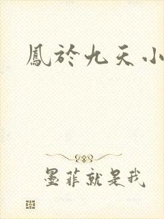 凤于九天小说