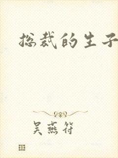 总裁的生子情人