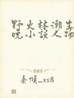 野火林潮生林晚晚小说人物野火