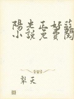 阳光正好苏玥玥小说免费阅读无弹窗