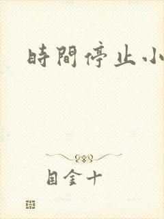 时间停止小说