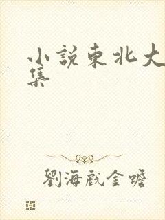 小说东北大炕全集