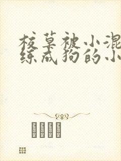 校草被小混混训练成狗的小说