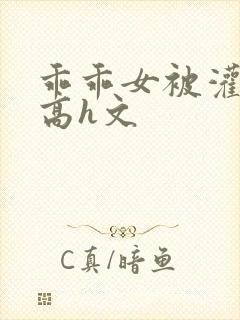 乖乖女被灌满精高h文