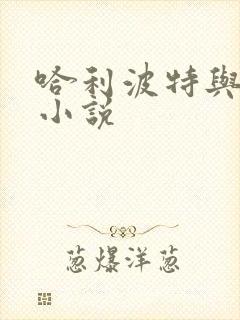 哈利波特与密室小说