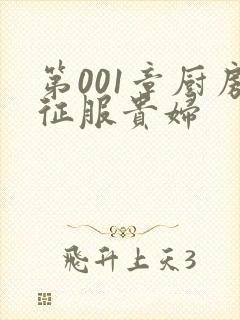 第001章厨房征服贵妇