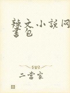 辣文小说网第二书包
