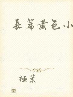 长篇黄色小说封面