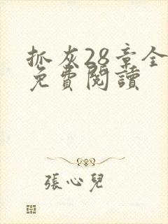 抓灰28章全部免费阅读