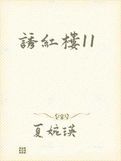 诱红楼11