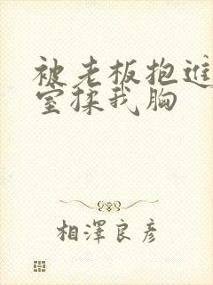 被老板抱进办公室揉我胸