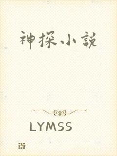 神探小说