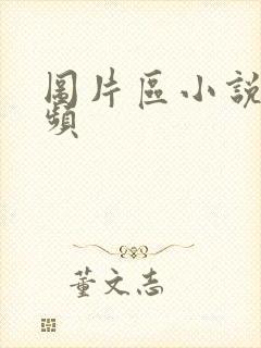 图片区小说区视频