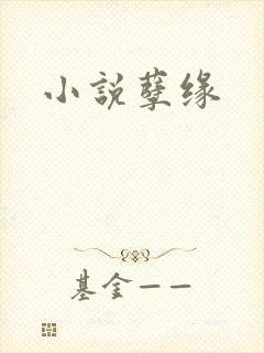 小说孽缘