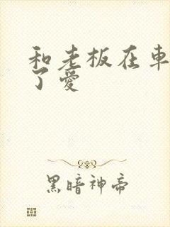 和老板在车里做了爱