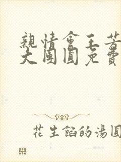 亲情会王芳高敏大团圆免费阅读