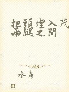 把头埋入茂密的两腿之间