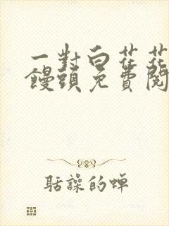 一对白花花的大馒头免费阅读