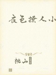 夜色撩人小说