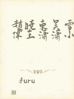 赵晓东吴雪晴郑伟王潇潇小说名字