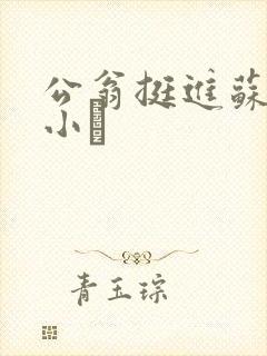 公翁挺进苏玥的小泬